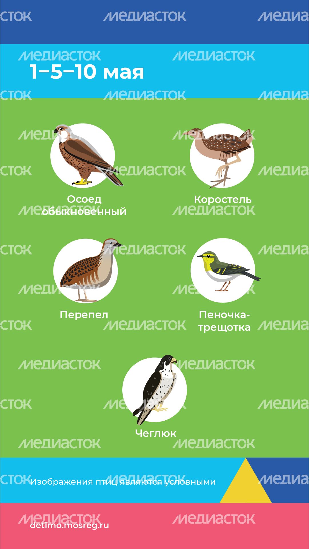весна летит - вертикаль - 08