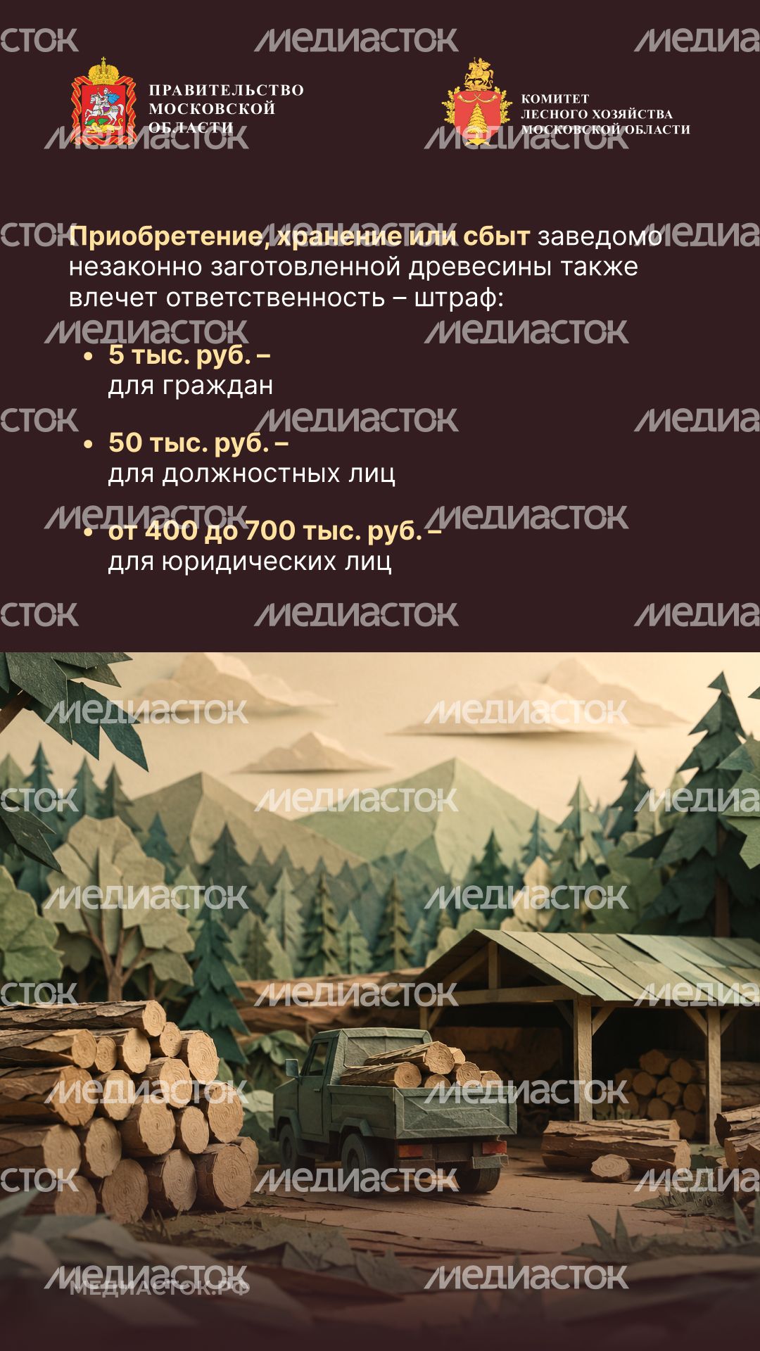 Незаконная рубка вертикаль 05