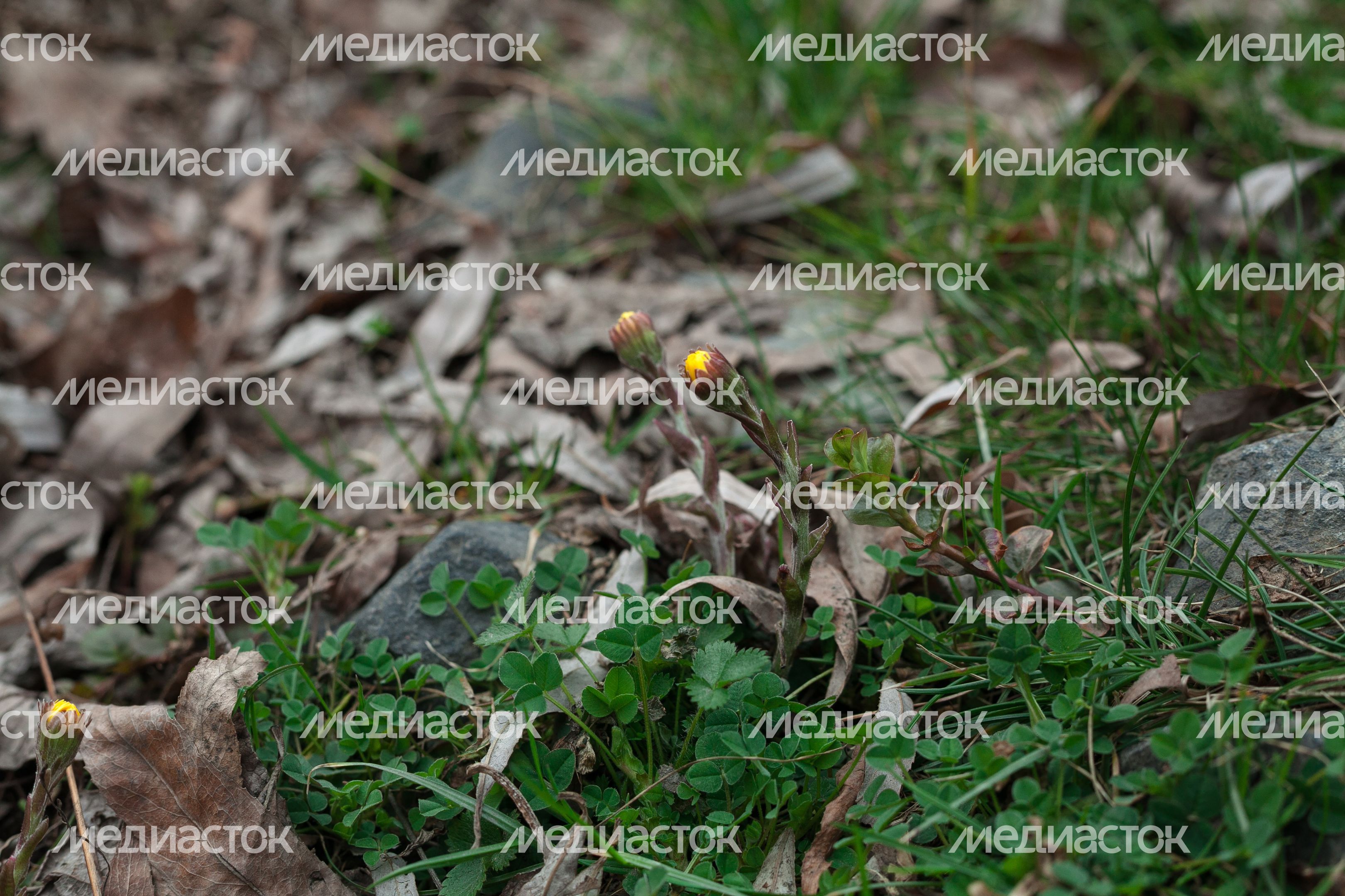 Весна в городе Дзержинский