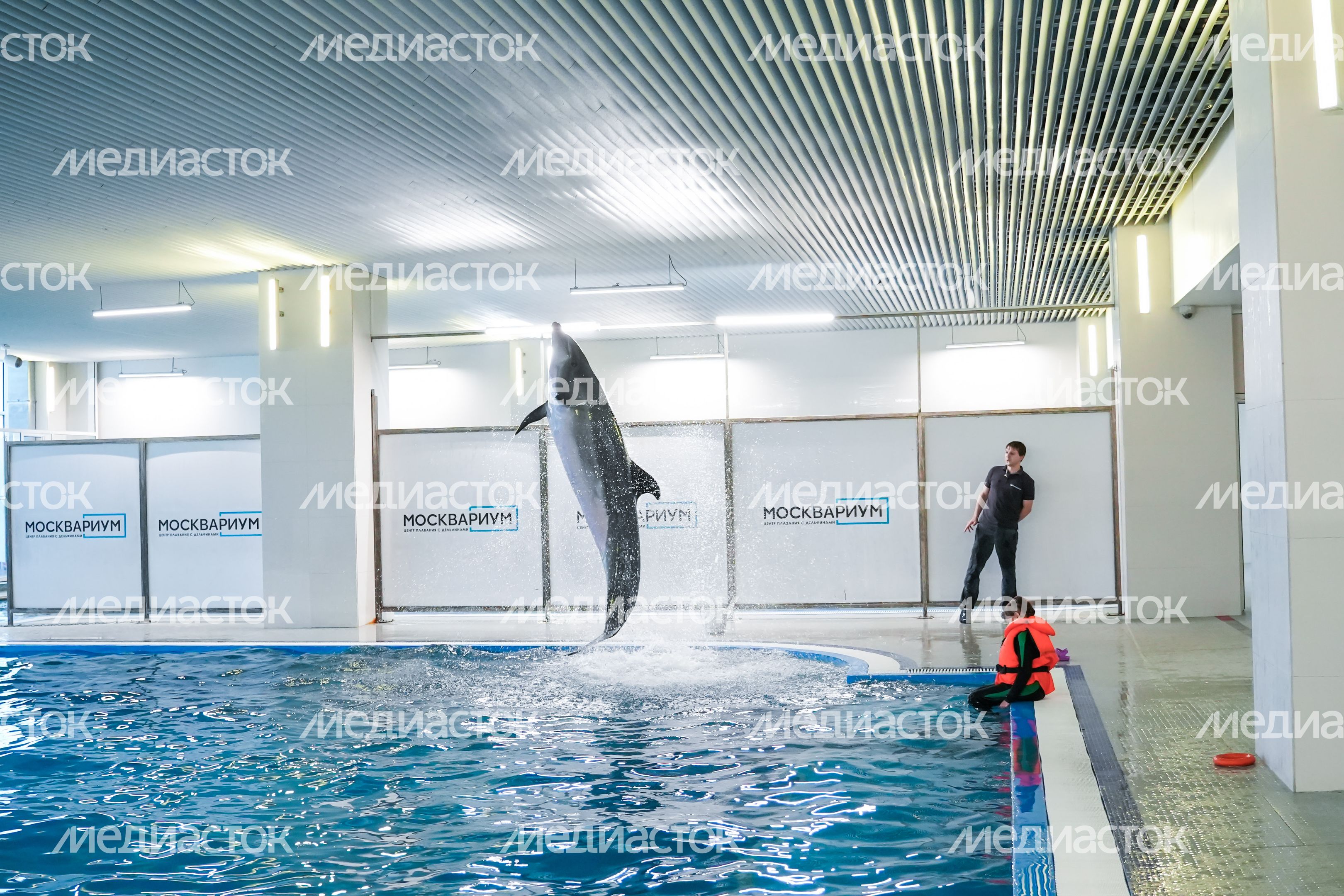 Исполнение мечты ребенка губернатором Подмосковья Исполнение мечты ребенка губернатором Подмосковья