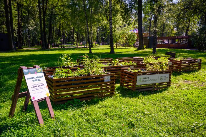 Парк "Скитские пруды" в Сергиевом Посаде. Лето
