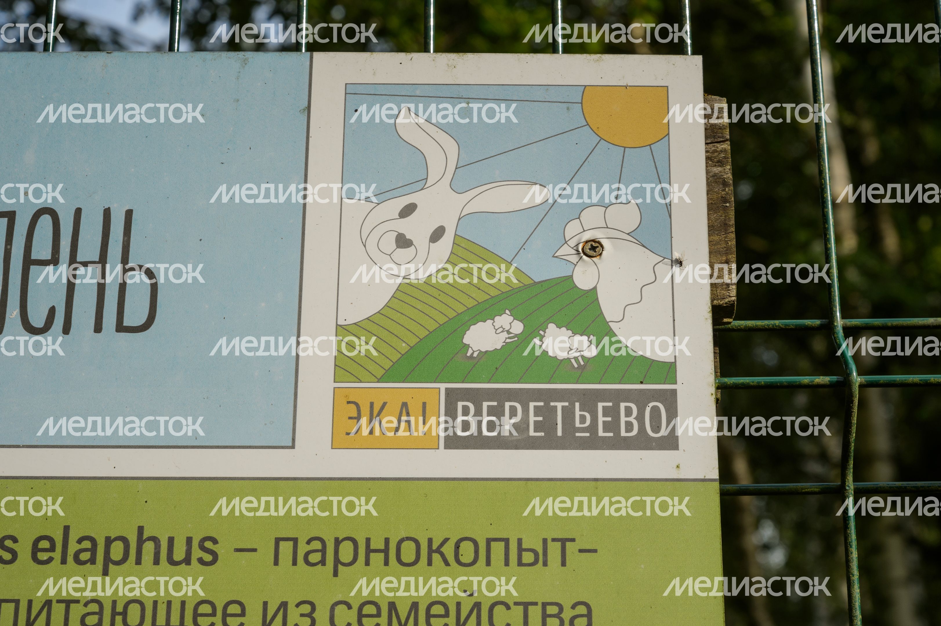 Усадьба Веретьево