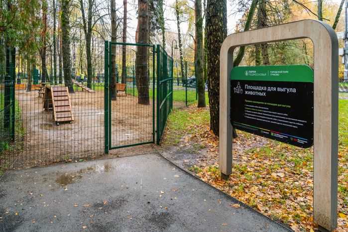 Площадка для выгула собак в городском парке «Гучково» в Дедовске осенью