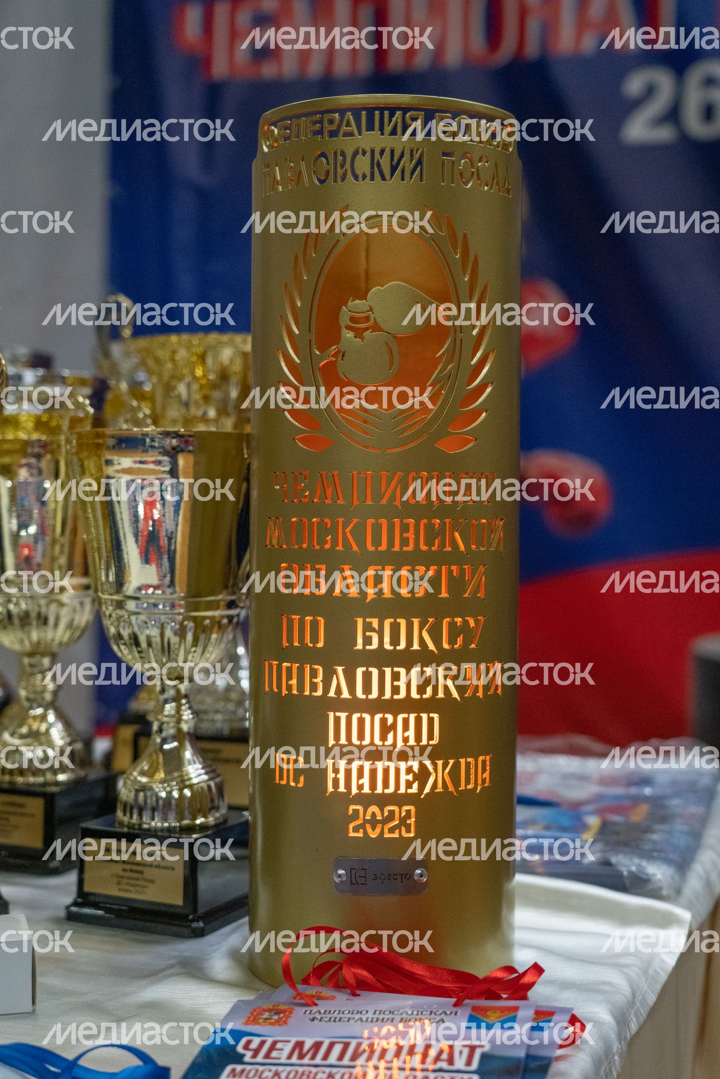 Чемпионат МО по боксу