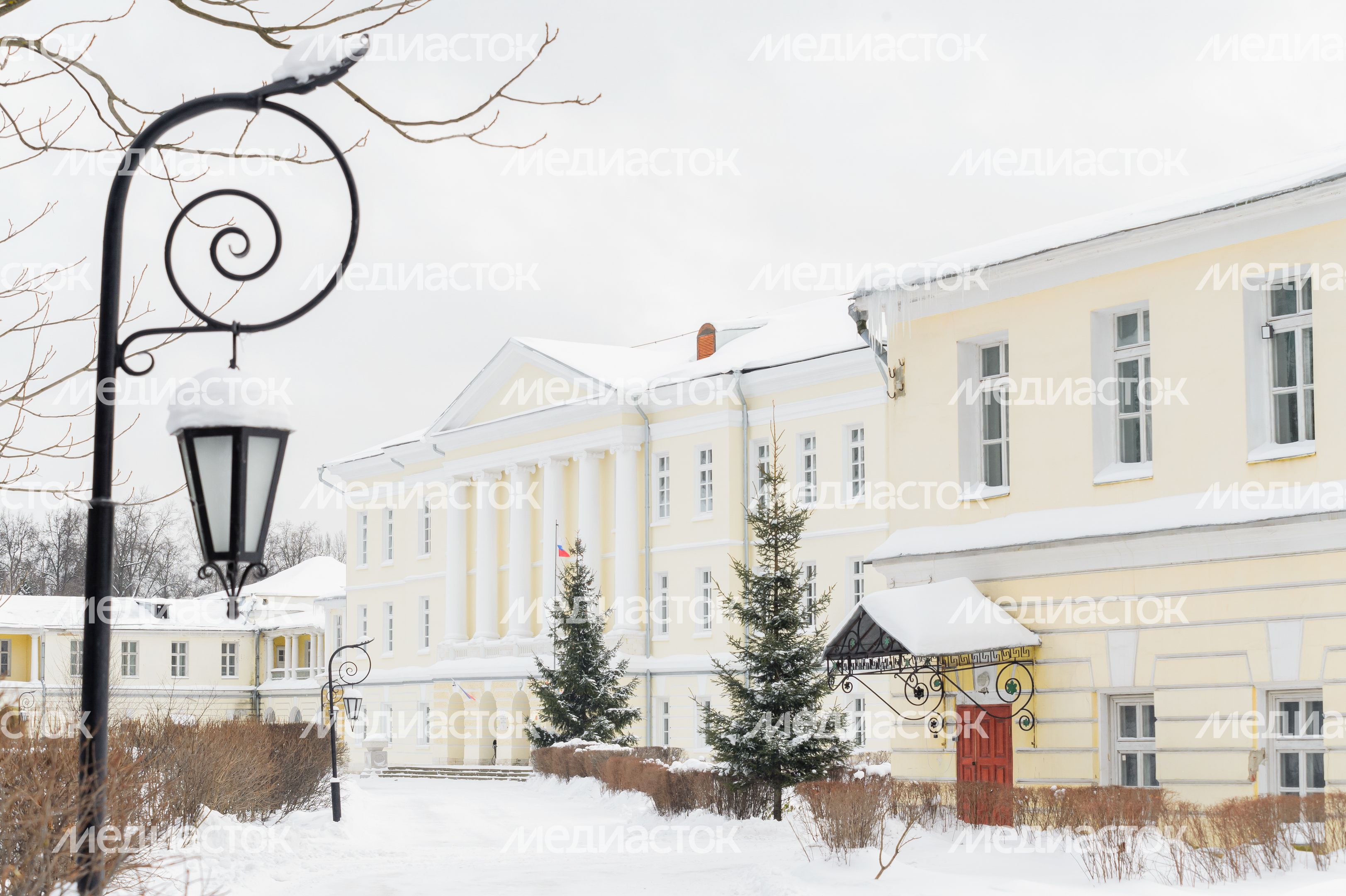 Балашиха. Усадьба Горенки. Зима Балашиха. Усадьба Горенки. Зима
