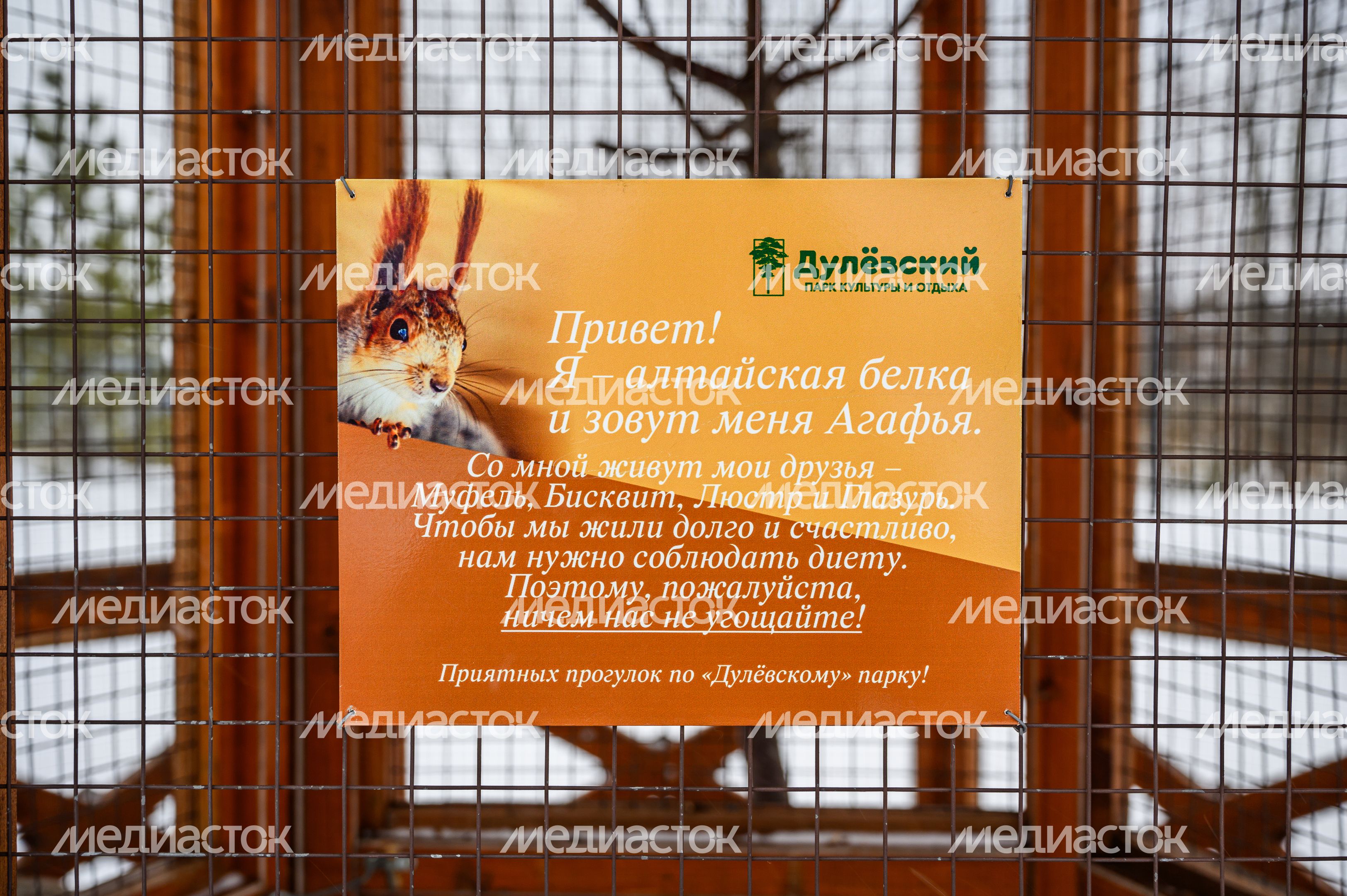 Парк культуры и отдыха "Дулёвский" в Орехово-зуевском городском округе Парк культуры и отдыха "Дулёвский" в Орехово-зуевском городском округе