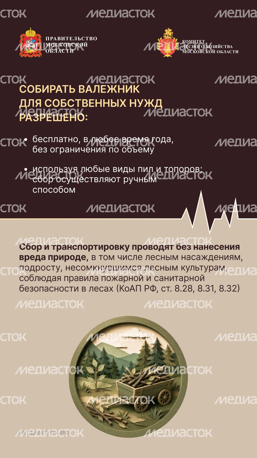 Валежник для собственных нужд вертикаль 06 Валежник для собственных нужд вертикаль 06