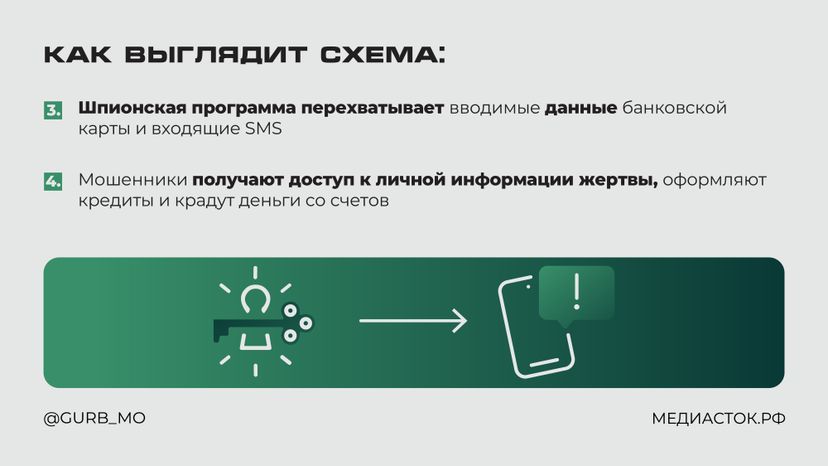 Мошенническая схема Мамонт горизонталь 03
