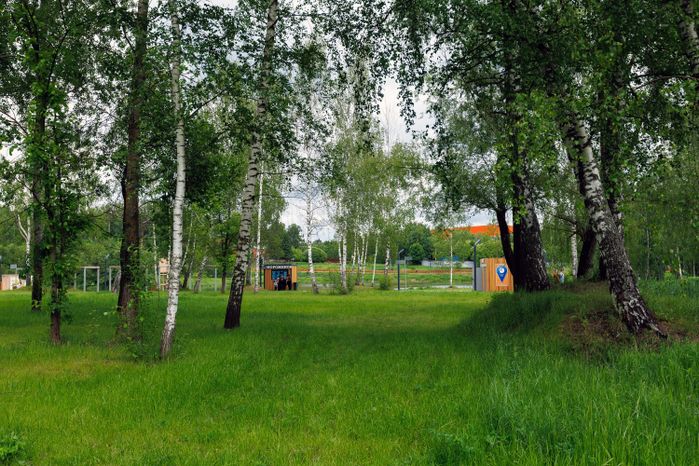 Лето в Городском парке культуры отдыха в Ивантеевке Пушкинского округа