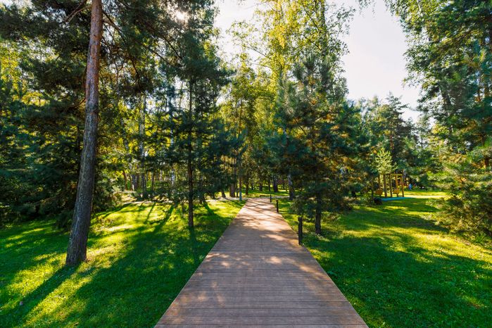 Дорожка в Никольско-Архангельском парке Балашихи летом