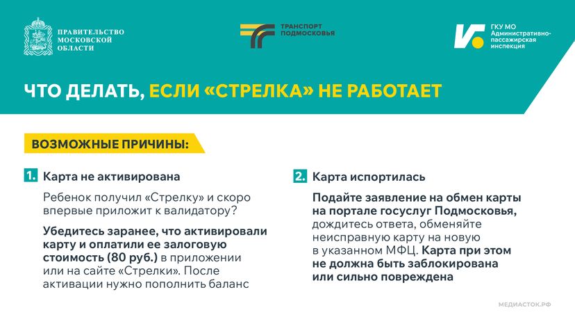 Поездки школьников в автобусах Горизонталь 02