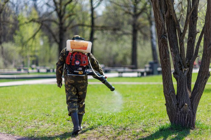 Борьба с клещами в Подмосковье: акарицидная обработка территории