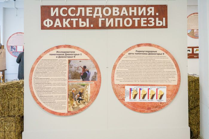 Ступино. Историко-краеведческий музей. Выставка «Лошадь. Equus. Hippos»
