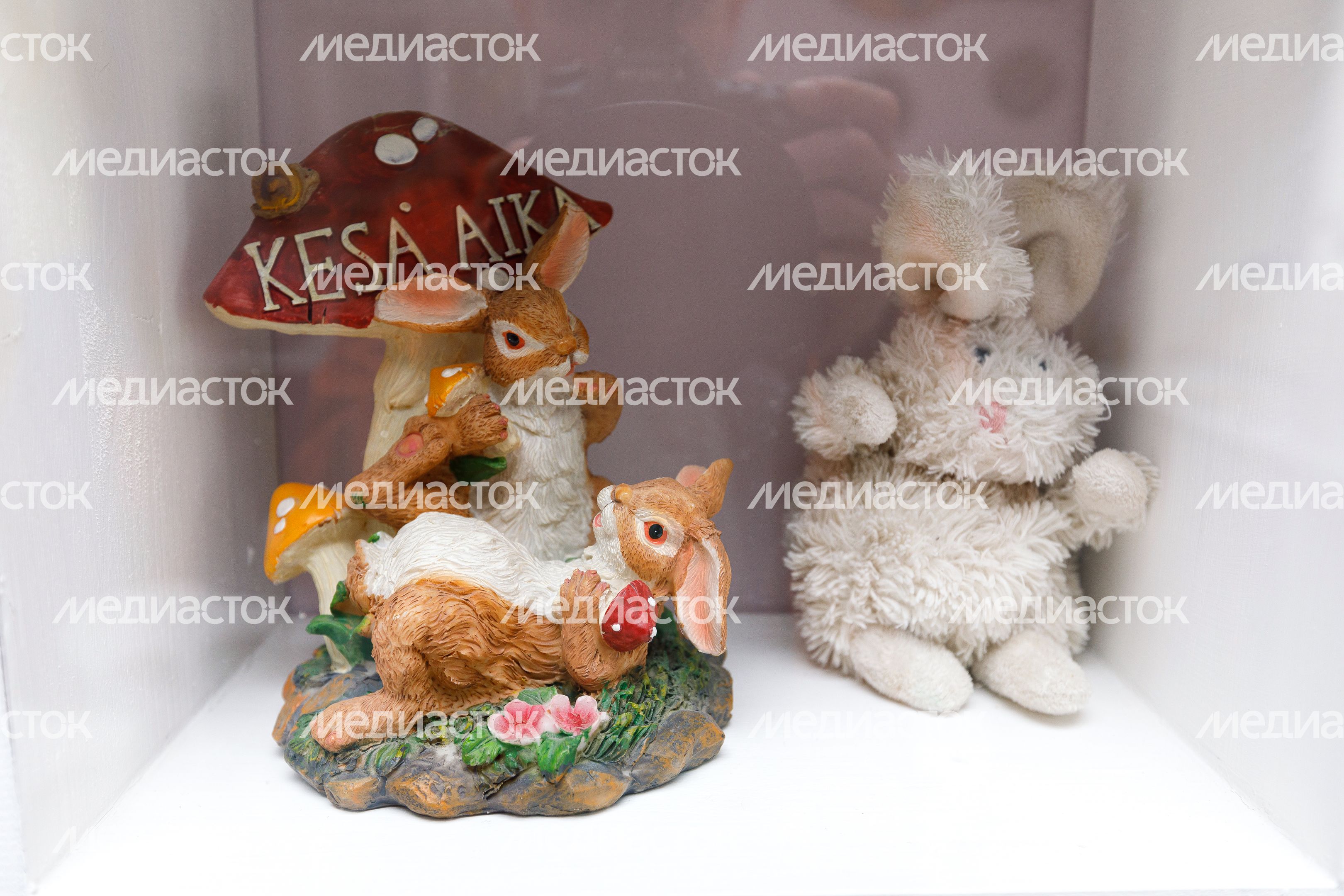 Музей кролика и зайца в Солнечногорске