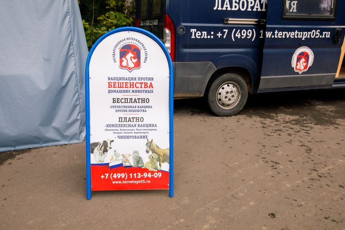 Вакцинация и чипирование животных в парке «Взлет» Домодедово