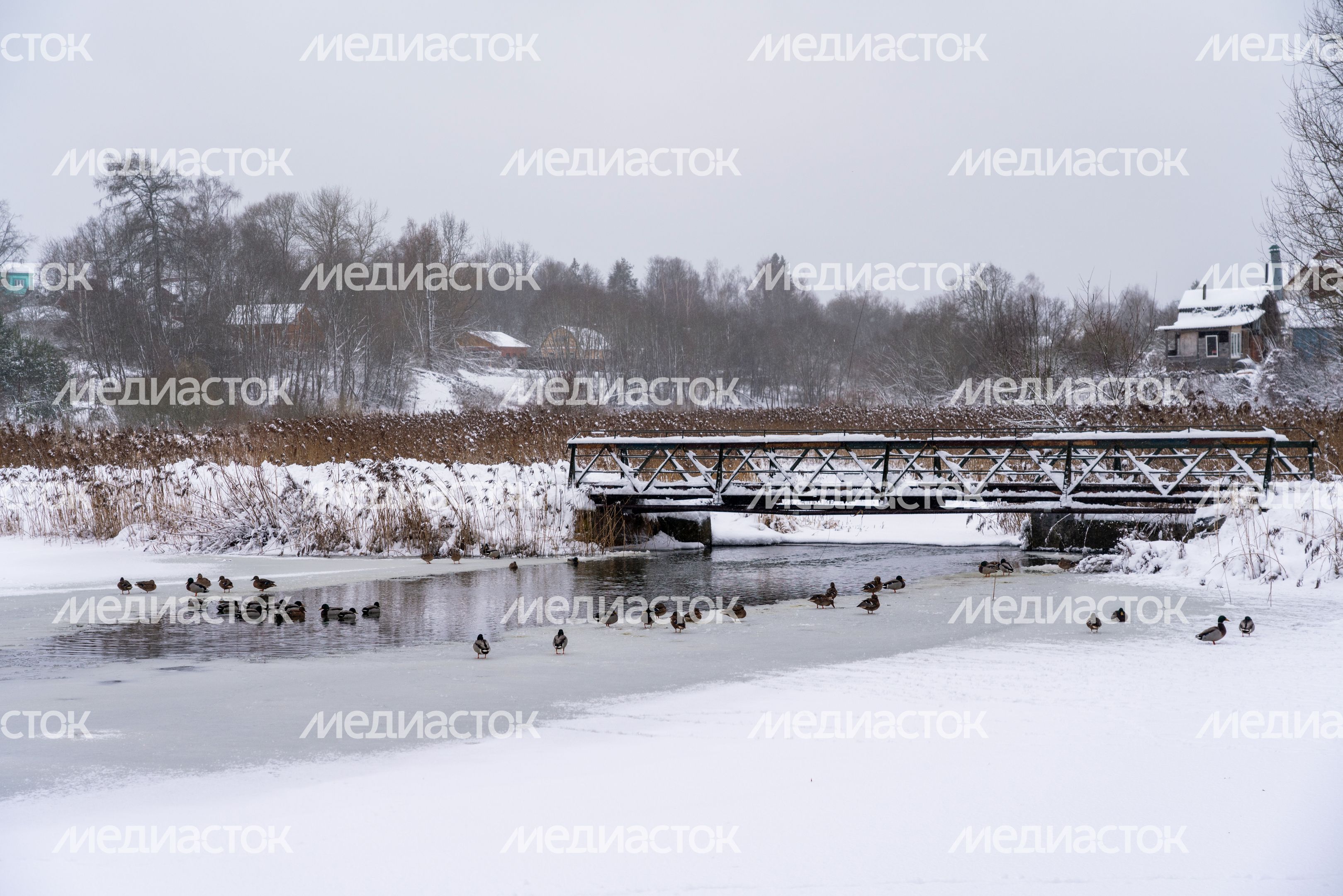 Мост через Холодный пруд в Высоковском городском парке культуры и отдыха «Березовый» в округе Клин зимой Мост через Холодный пруд в Высоковском городском парке культуры и отдыха «Березовый» в округе Клин зимой
