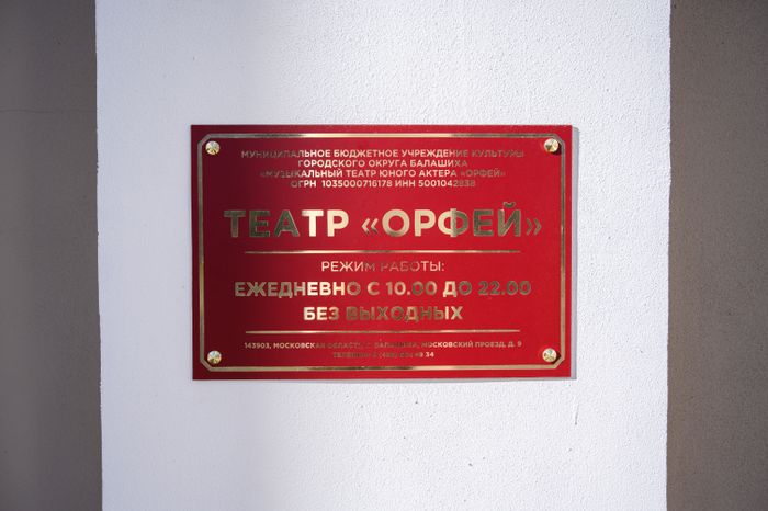 Музыкальный театр юного актера «Орфей» занимается в Дворце культуры «Балашиха»