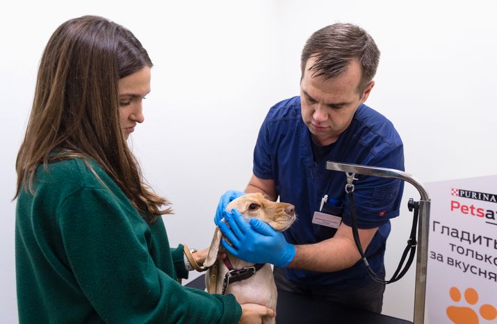 Pet‑friendly офис Purina