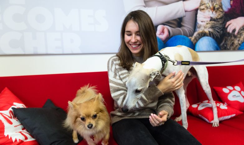 Pet‑friendly офис Purina