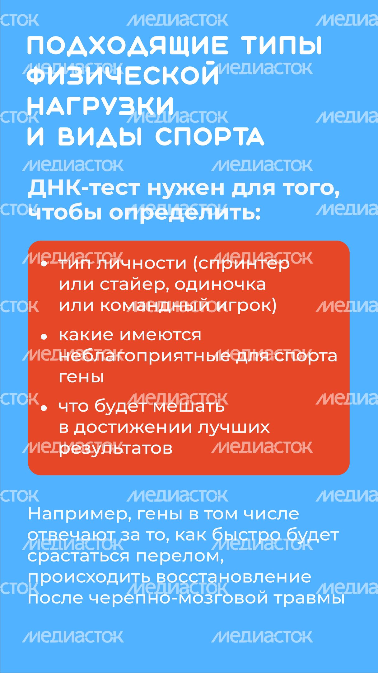 ДНК-вертикаль-08