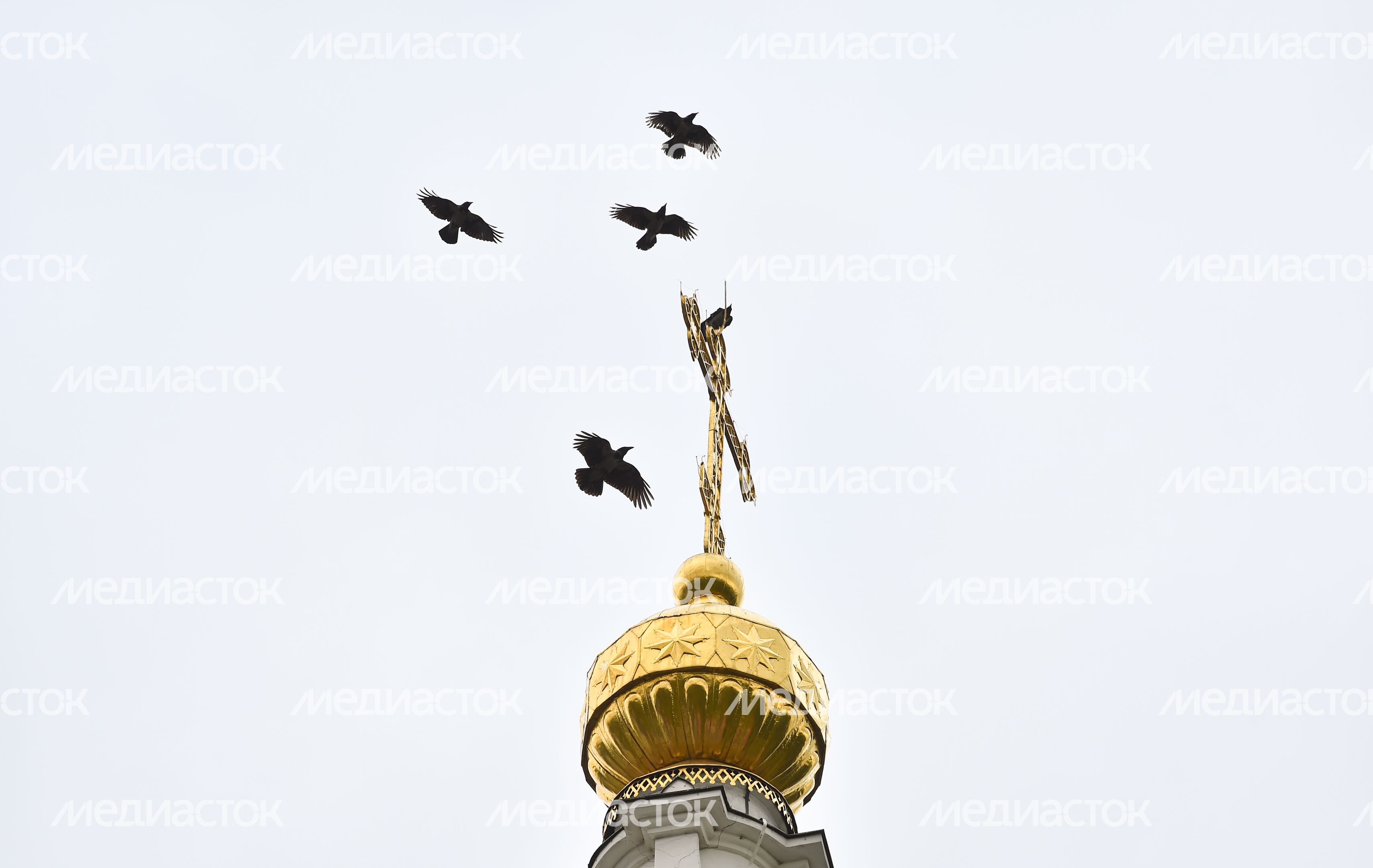 Достопримечательности города Серпухов