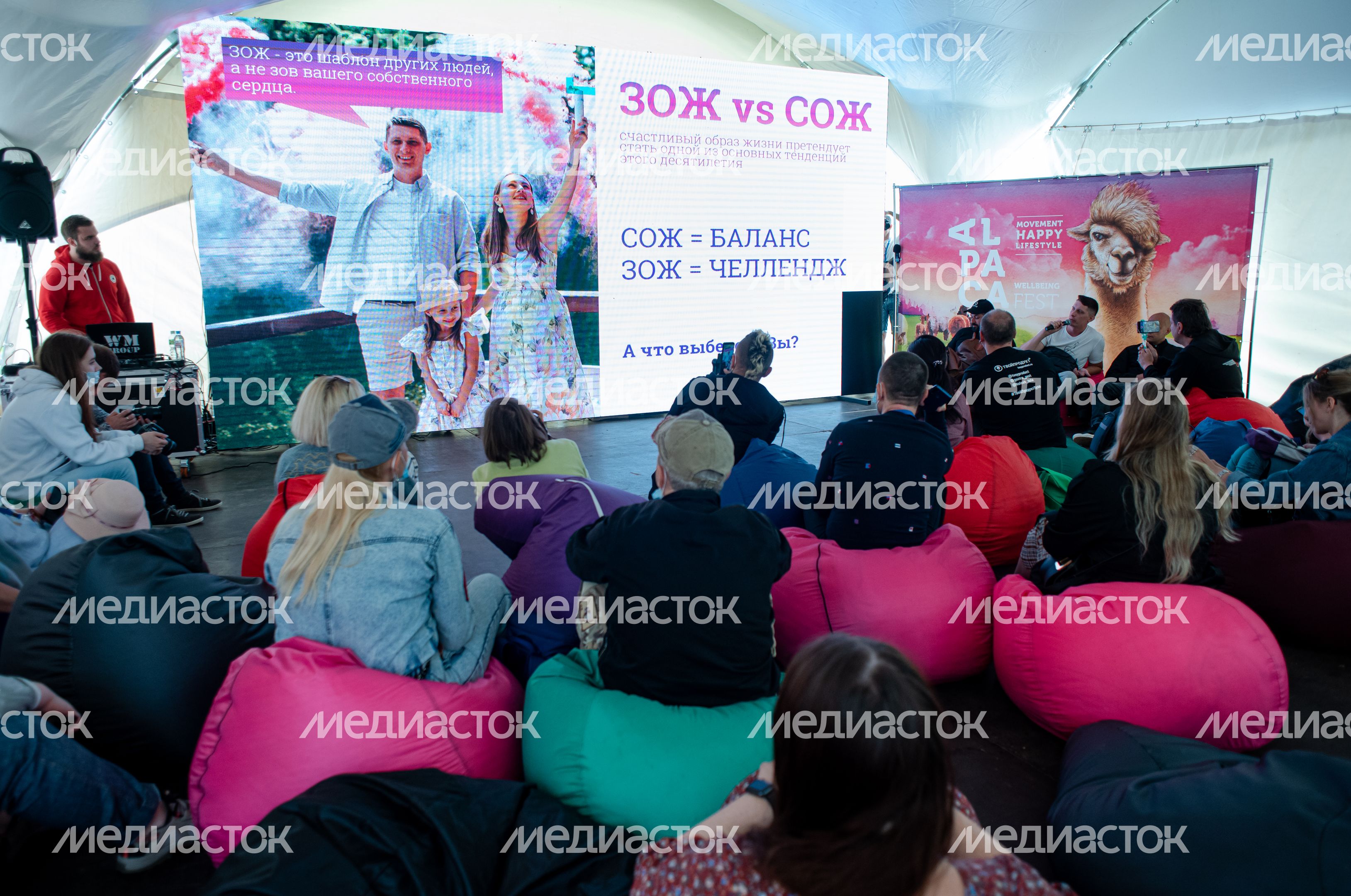 Гастрономический фестиваль Alpaca Wellbeing Fest
