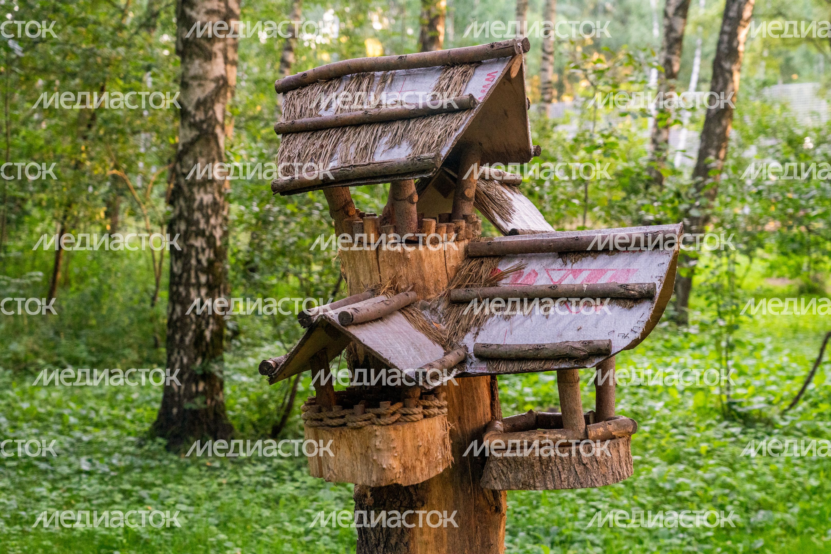 Кормушка для белок и птиц в лесопарке «Городской лес» в Домодедово