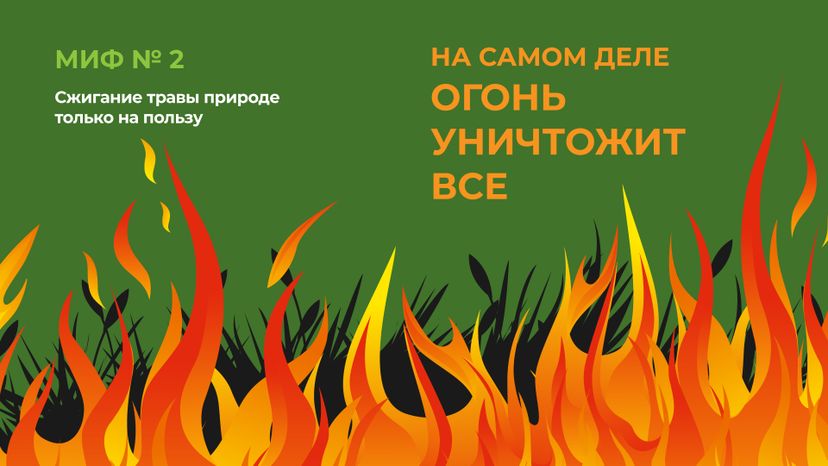 пал_гор_3.jpg