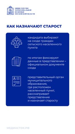 Знакомьтесь сельский староста вертикаль 05
