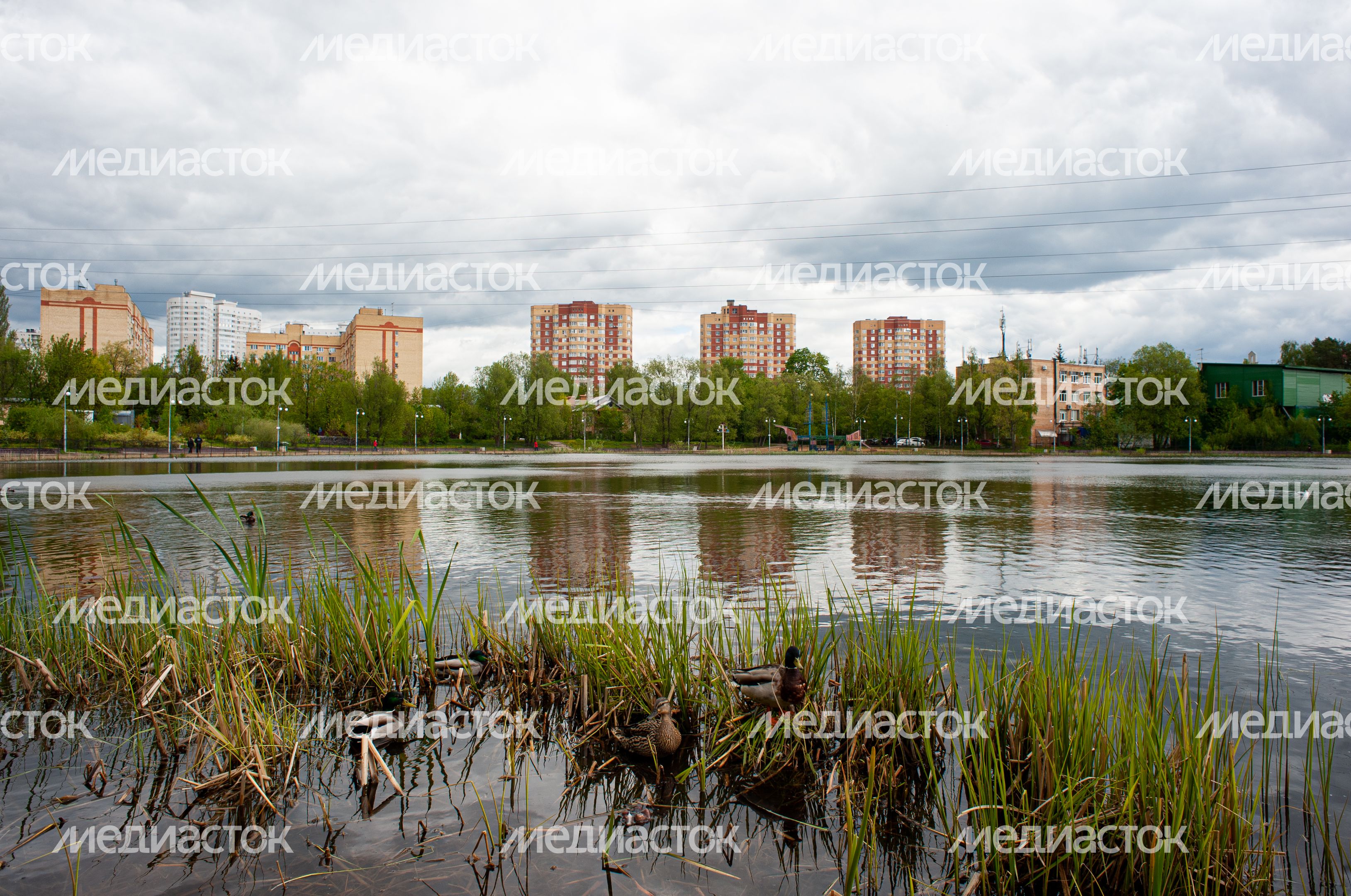 Весенние виды города Пушкино