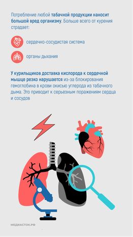 ЗОЖ вертикаль 05