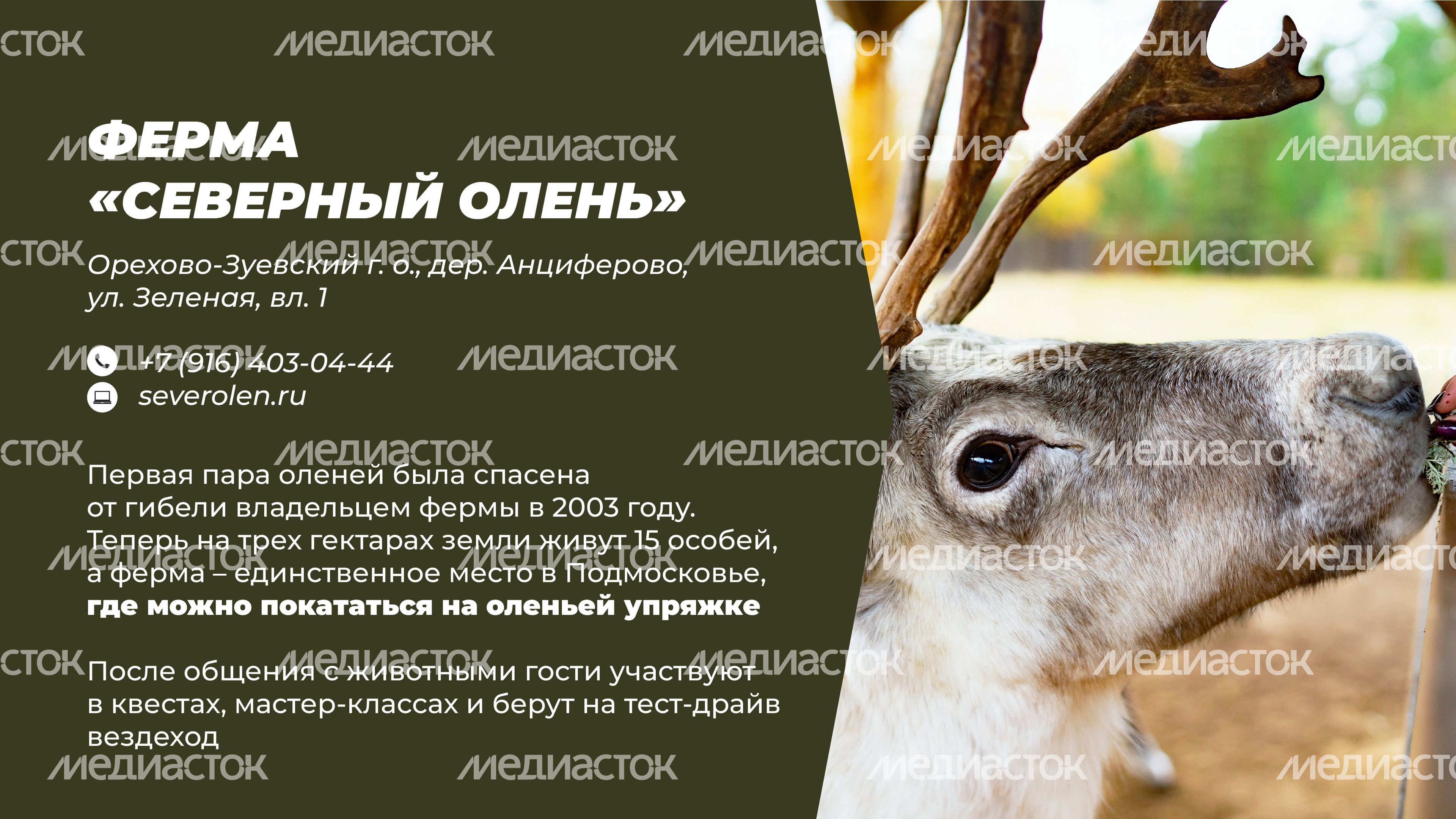 Фермы с животными-17.jpg