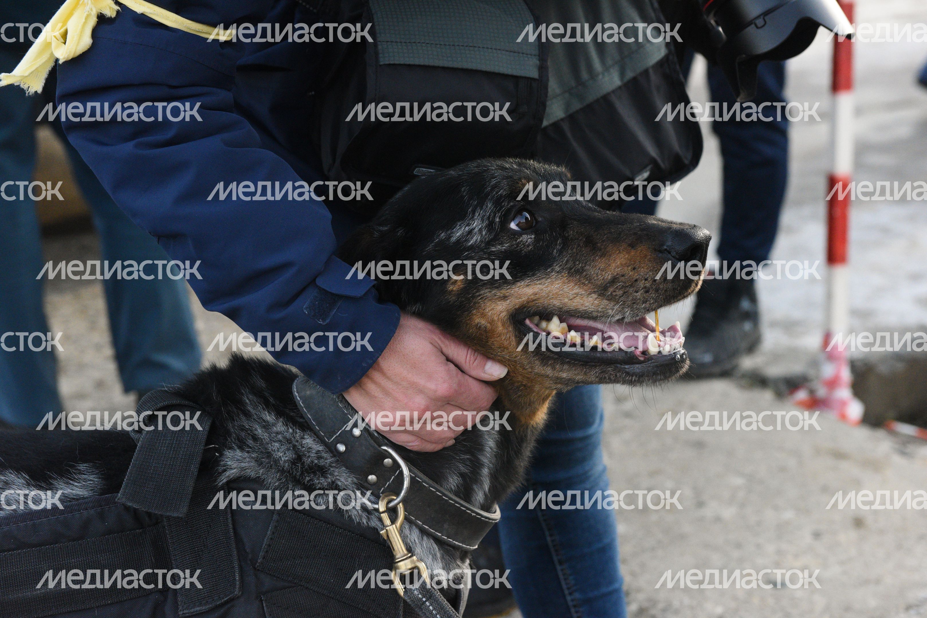 Подтверждение квалификации спасателей международного класса