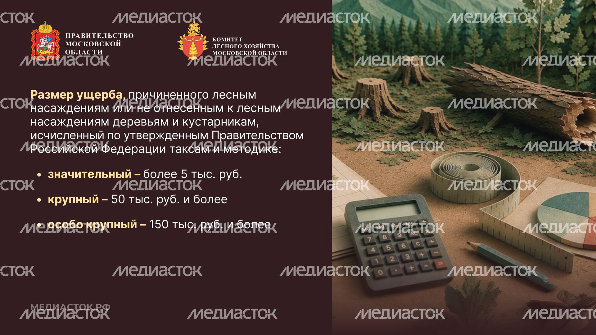 Незаконная рубка горизонталь 07