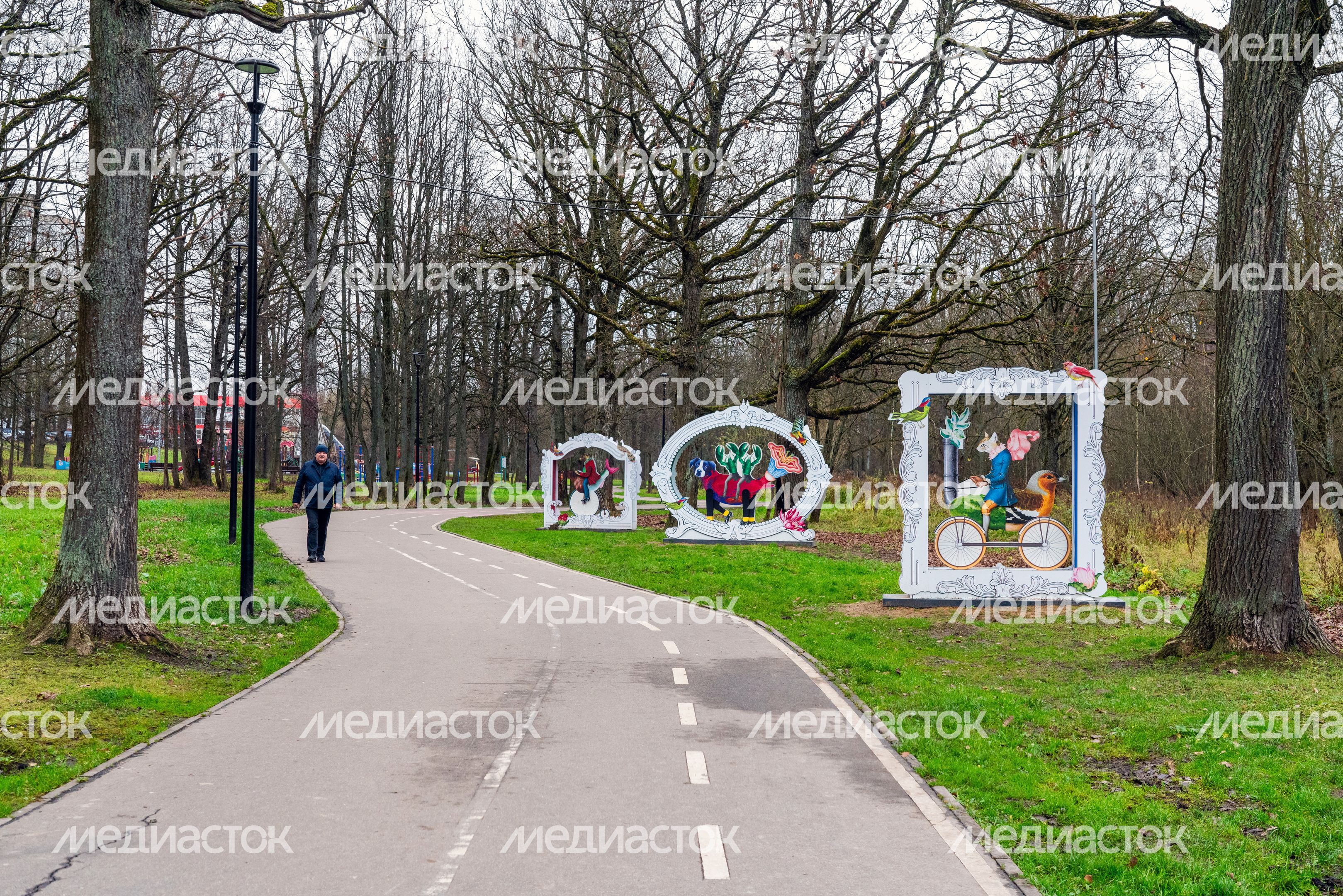 Наро-Фоминский лесопарк «Дубки» Наро-Фоминский лесопарк «Дубки»