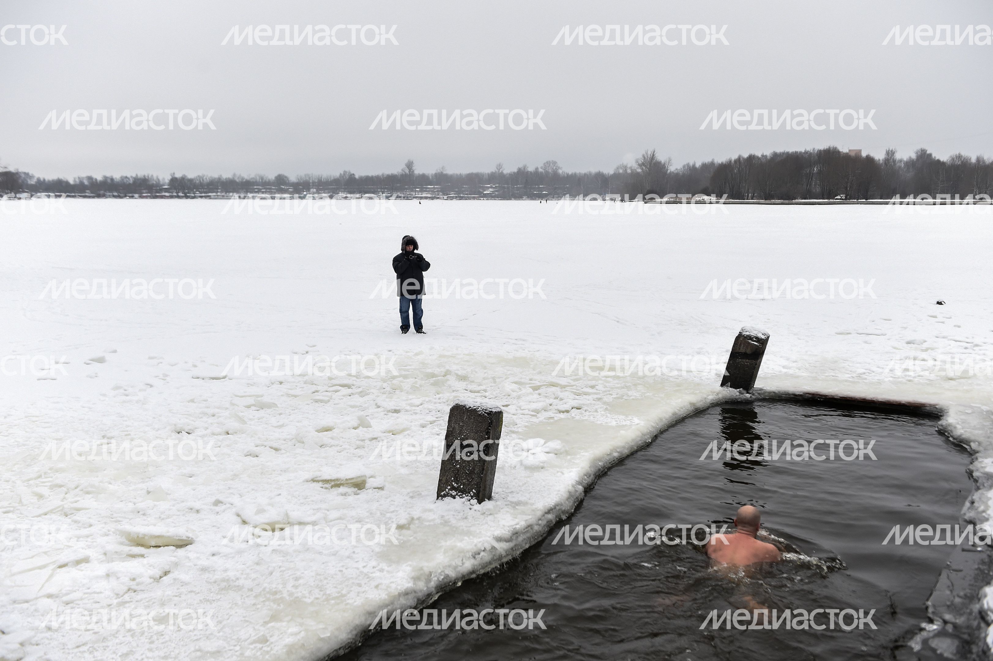 Купание моржей в Долгопрудном