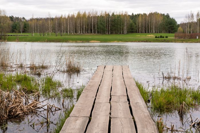 Мещерский парк в Одинцовском округе. Весна