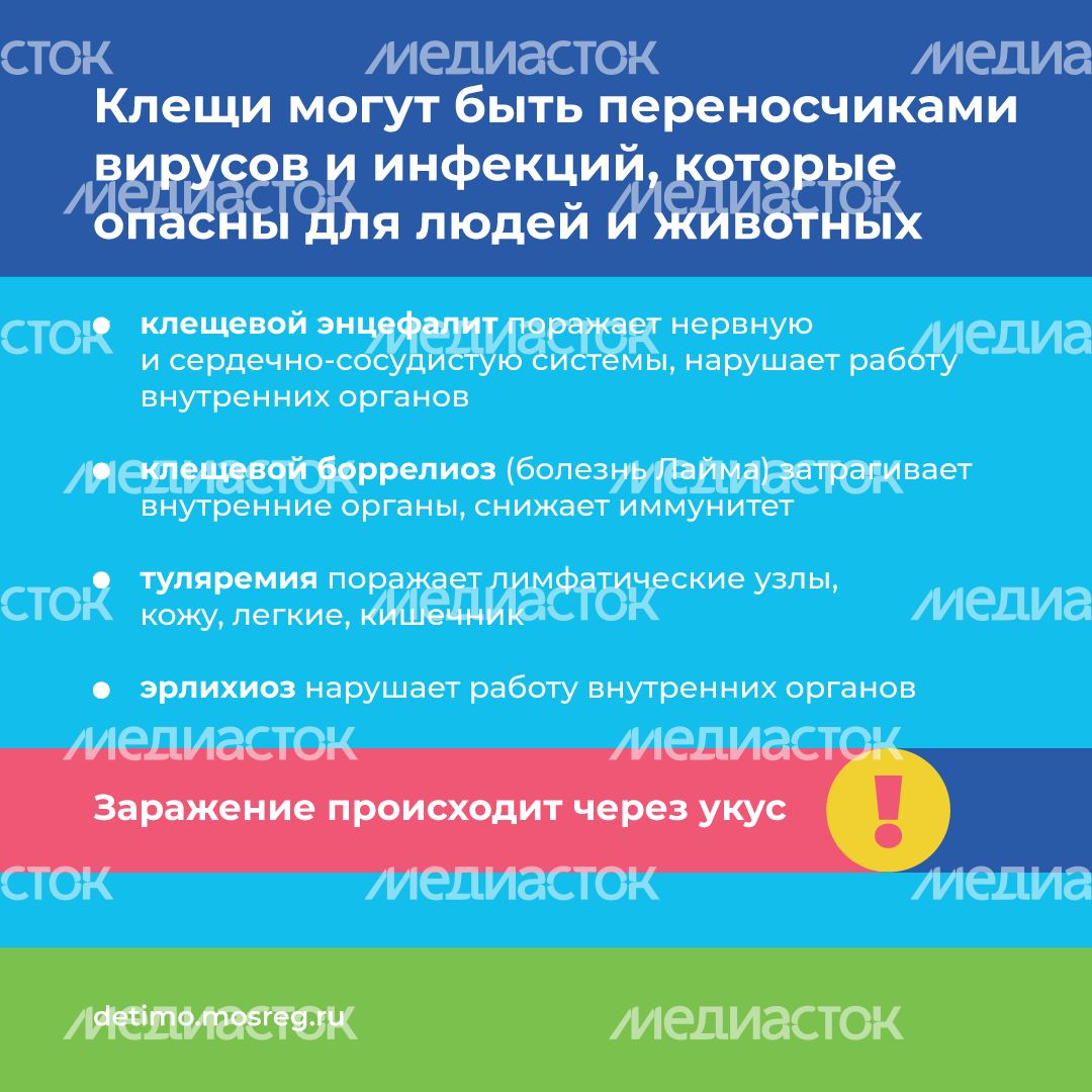 Квадрат осторожно клещи 05.png