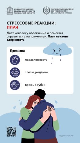 Стрессовые реакции Первая помощь Вертикаль 02