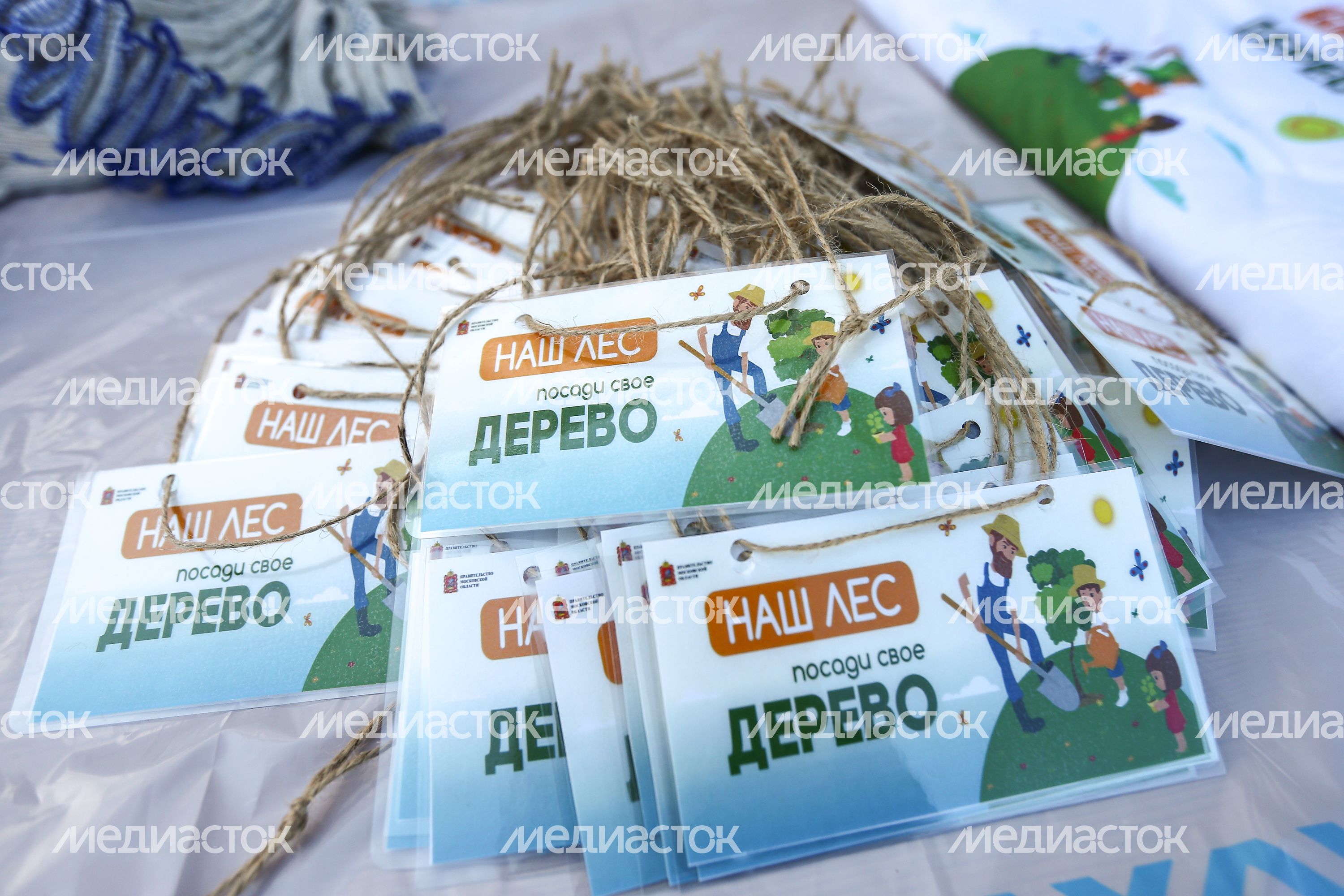 Участие Андрея Воробьева в экологической акции «Наш лес. Посади свое дерево» в Звёздном городке