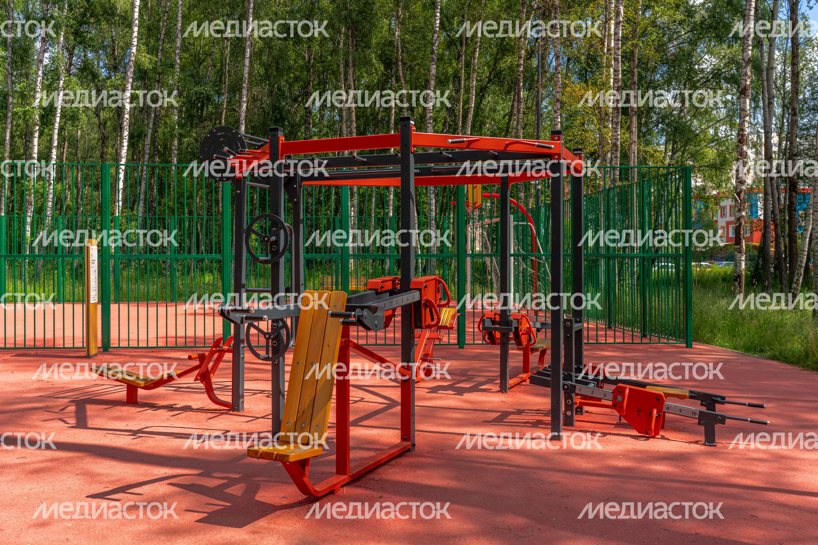 Губернский лесопарк в Чехове летом