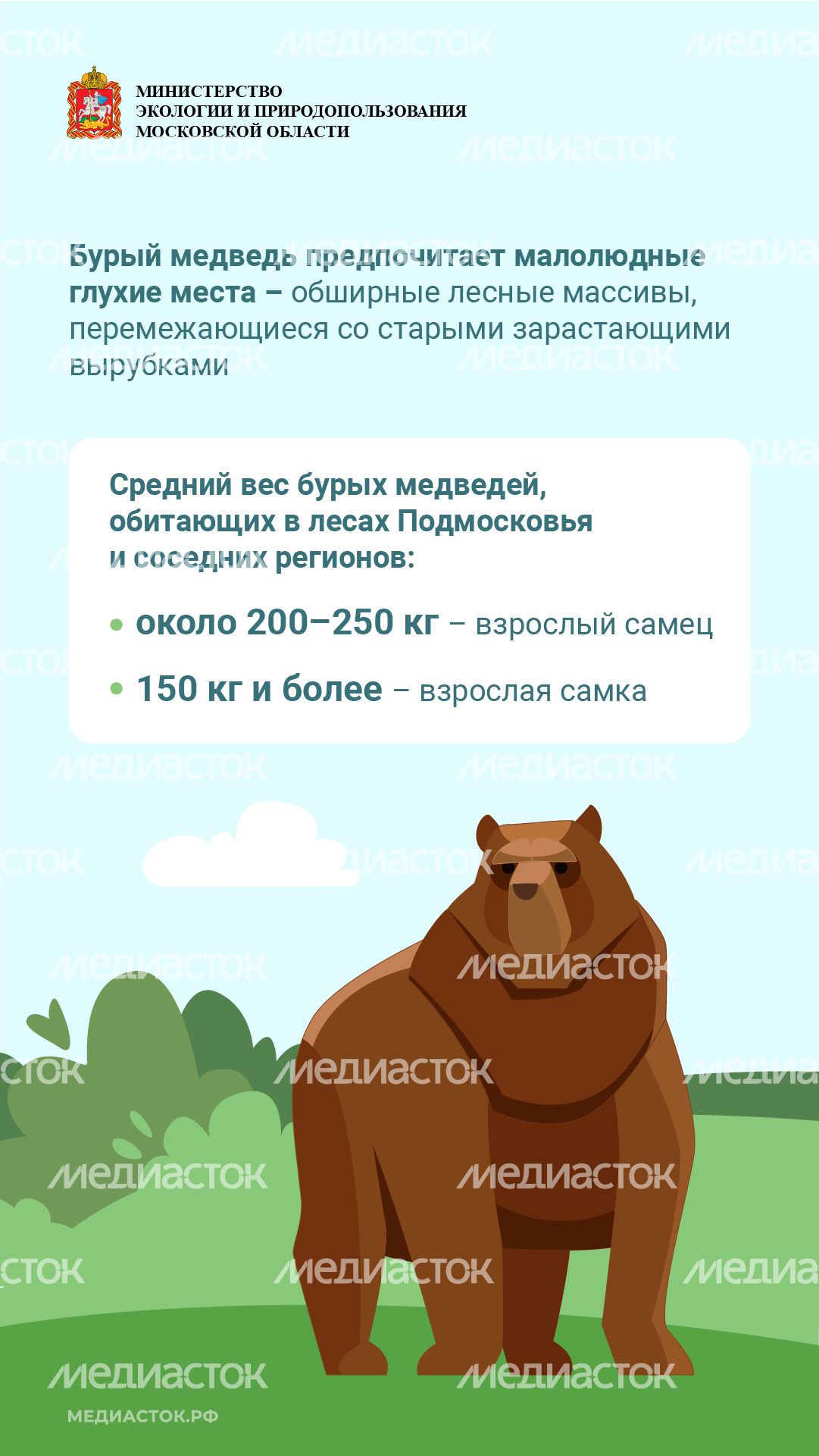 Медведь – сосед, которого нужно знать_вертикаль 03 Медведь – сосед, которого нужно знать_вертикаль 03