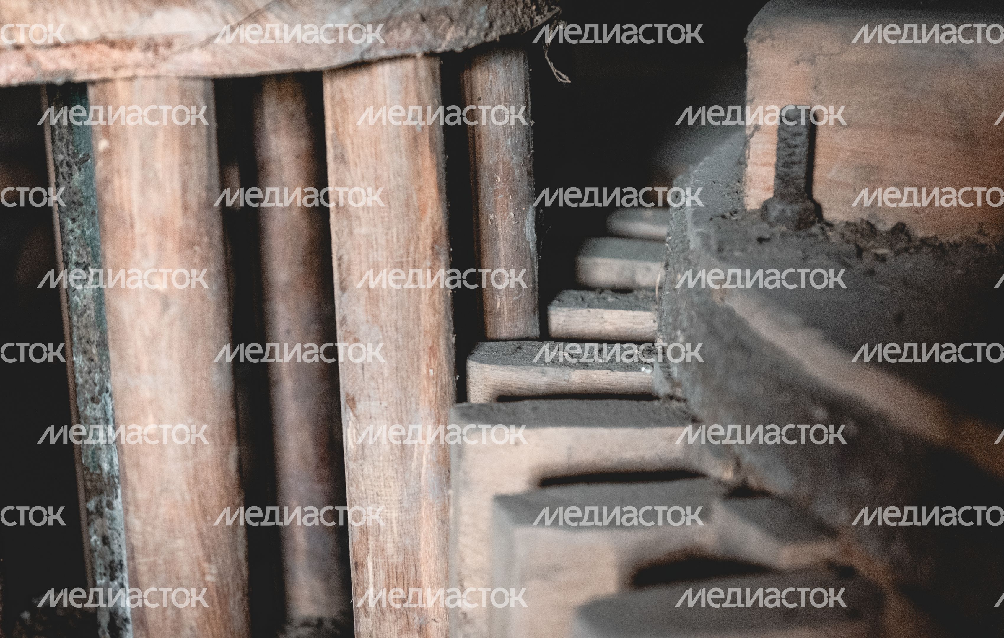 Мельница в Истре