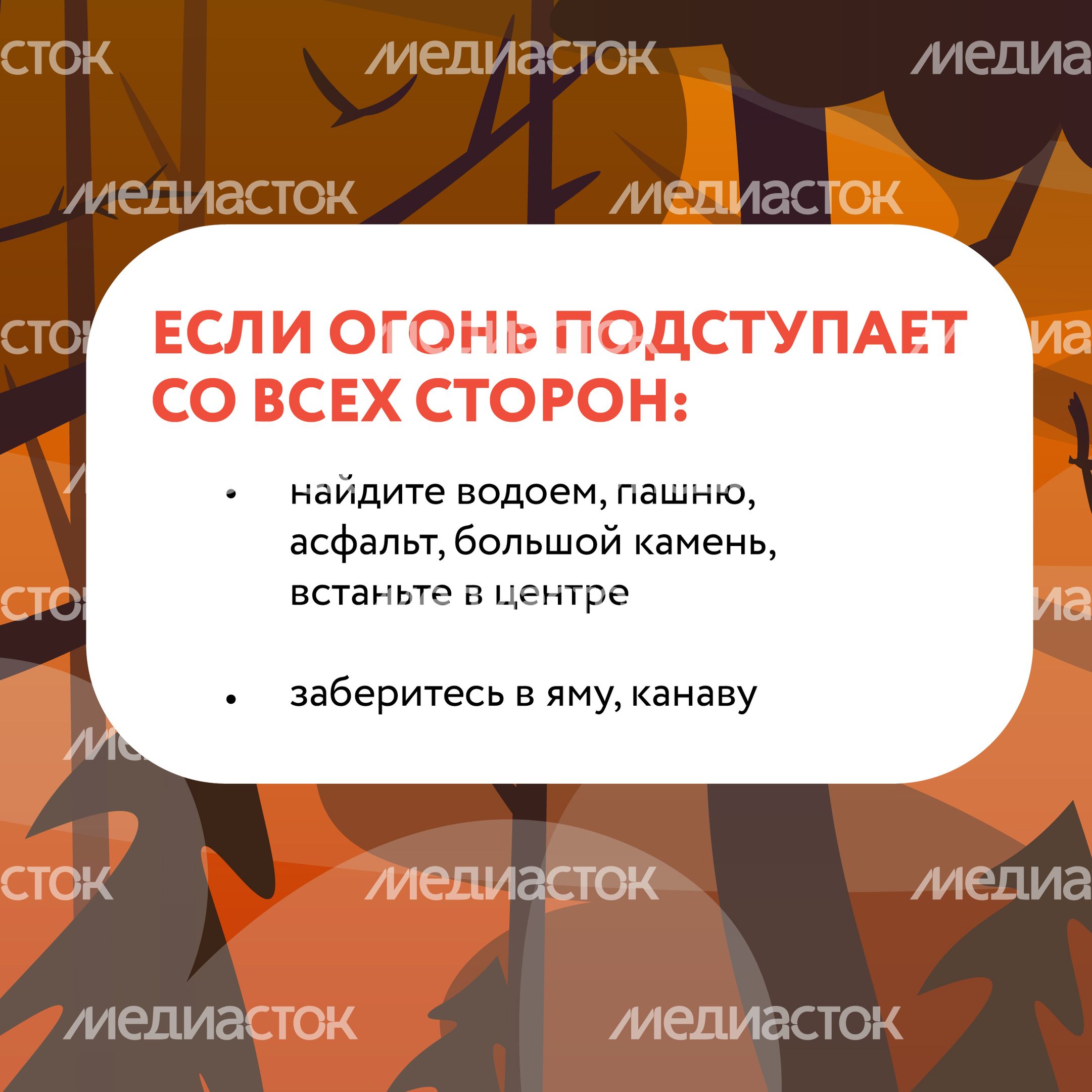 Лесные пожары-19.jpg