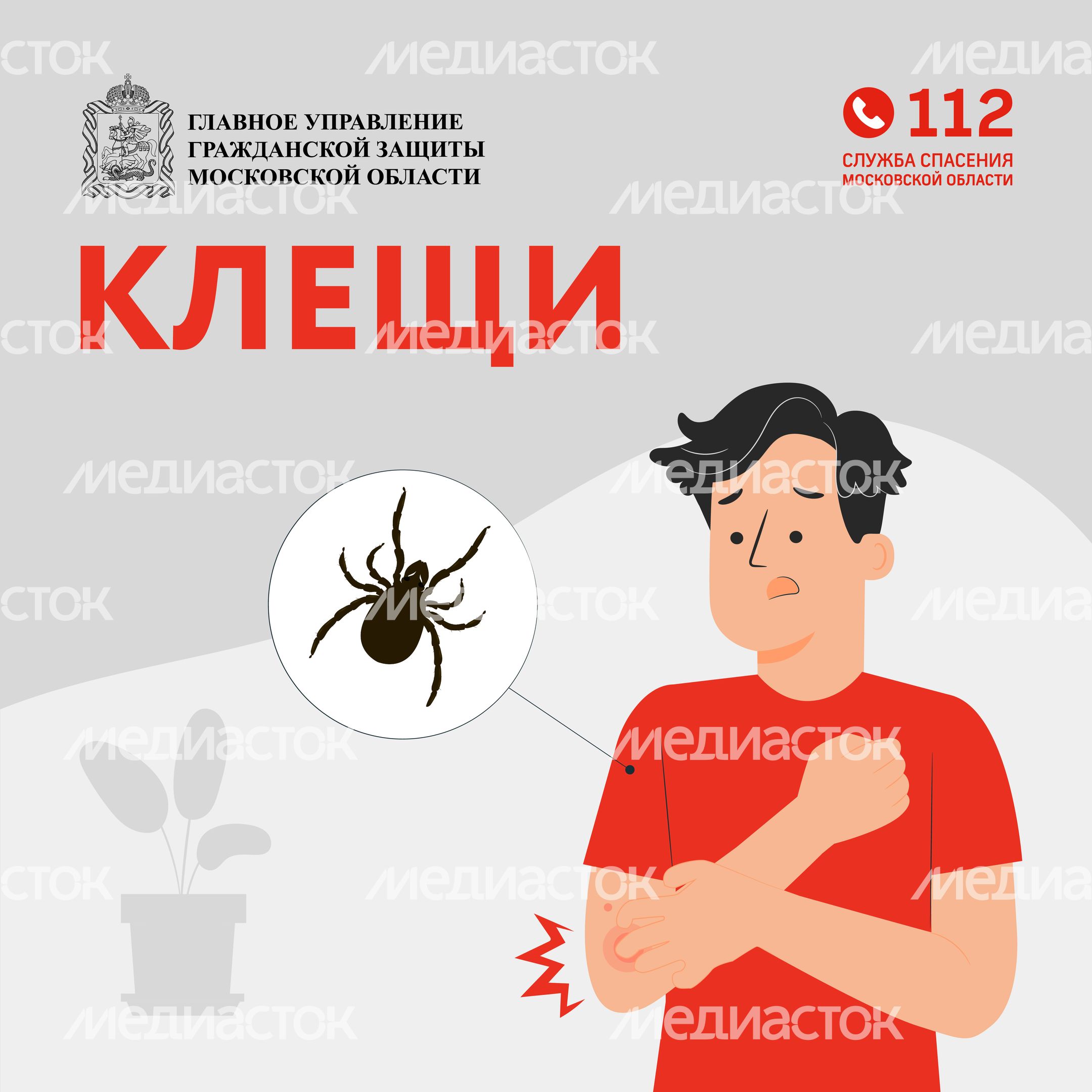 клещи_квадрат_01