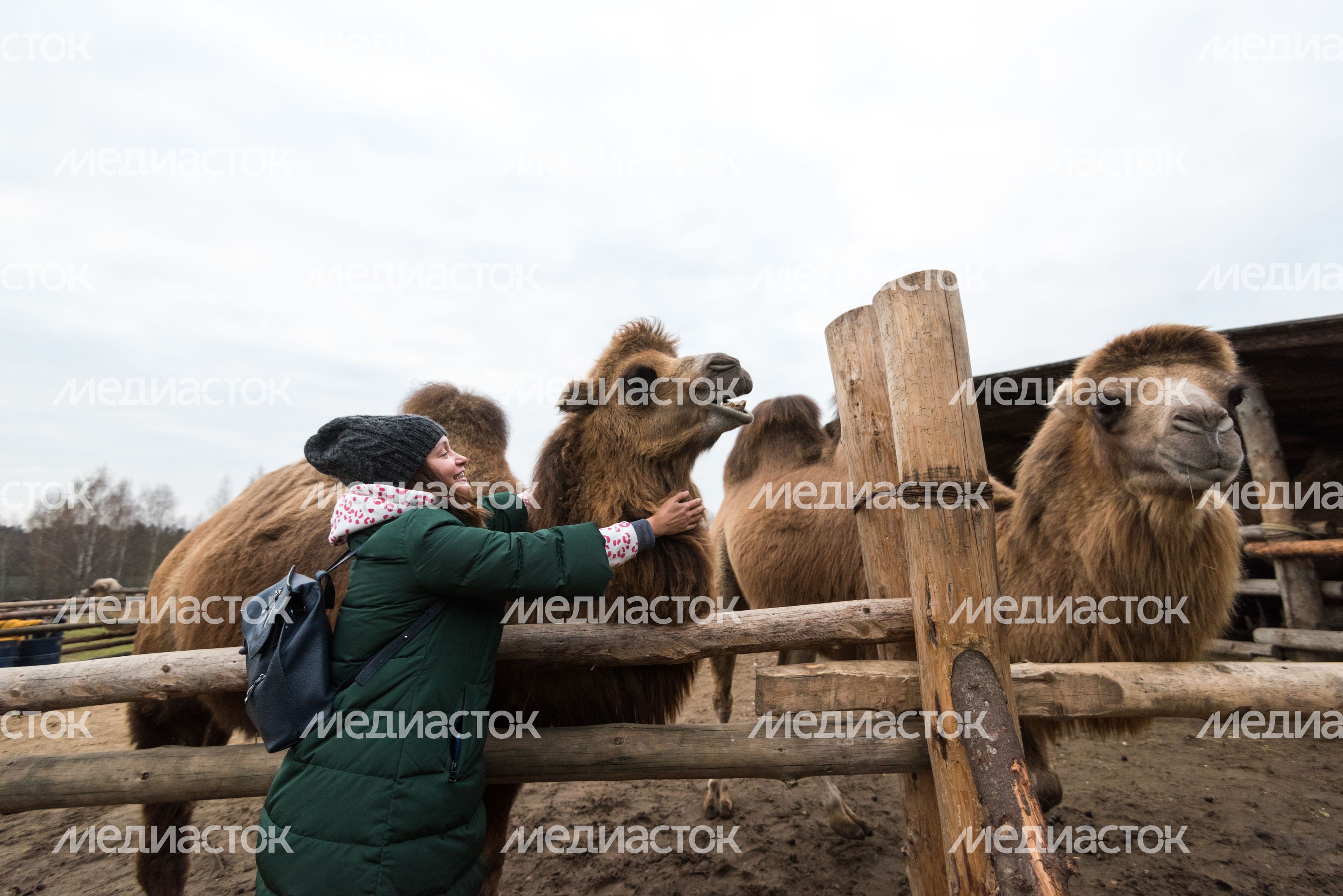 Этнопарк «Кочевник»