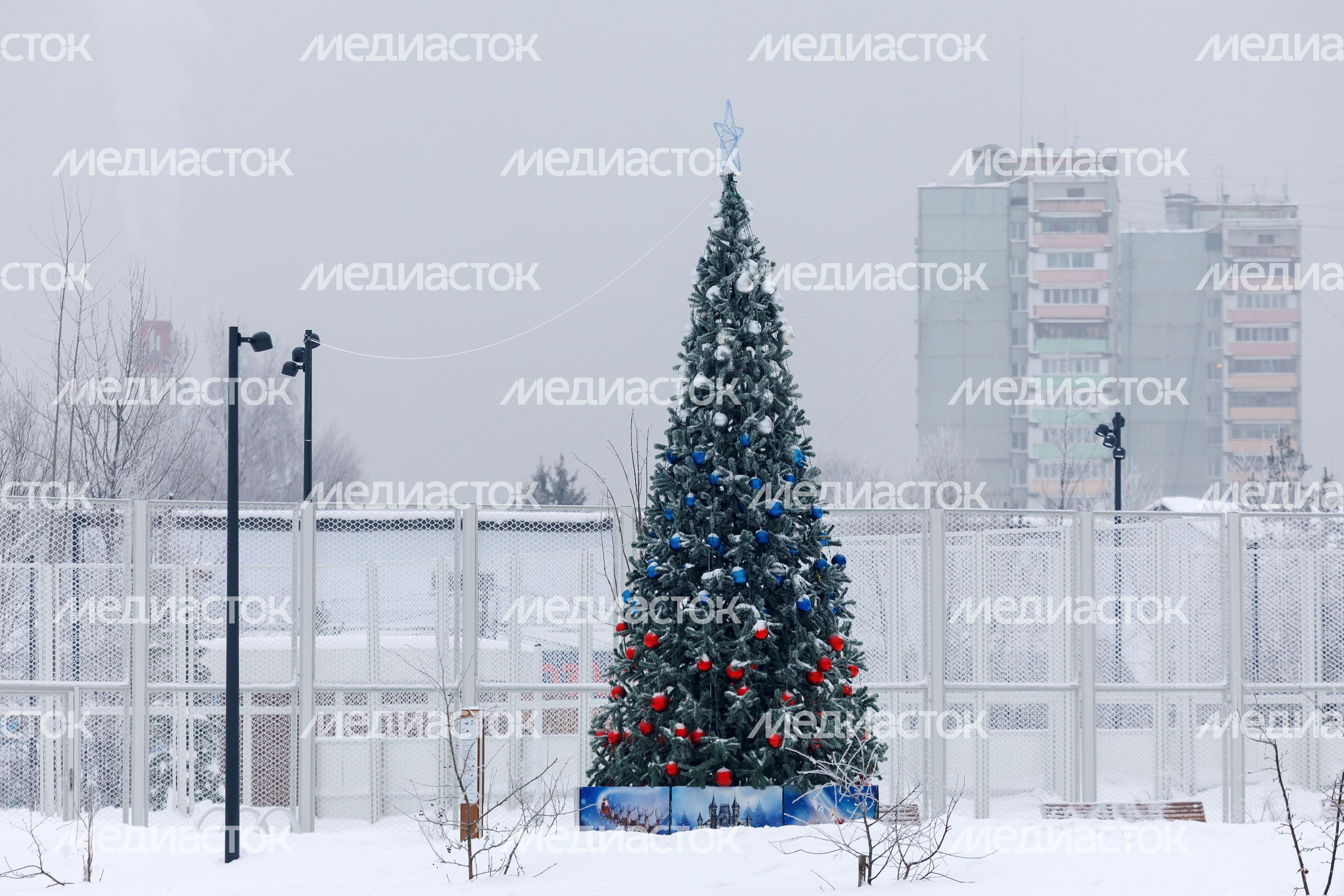 Новогодняя елка в сквере Защитников Москвы в Лобне Новогодняя елка в сквере Защитников Москвы в Лобне