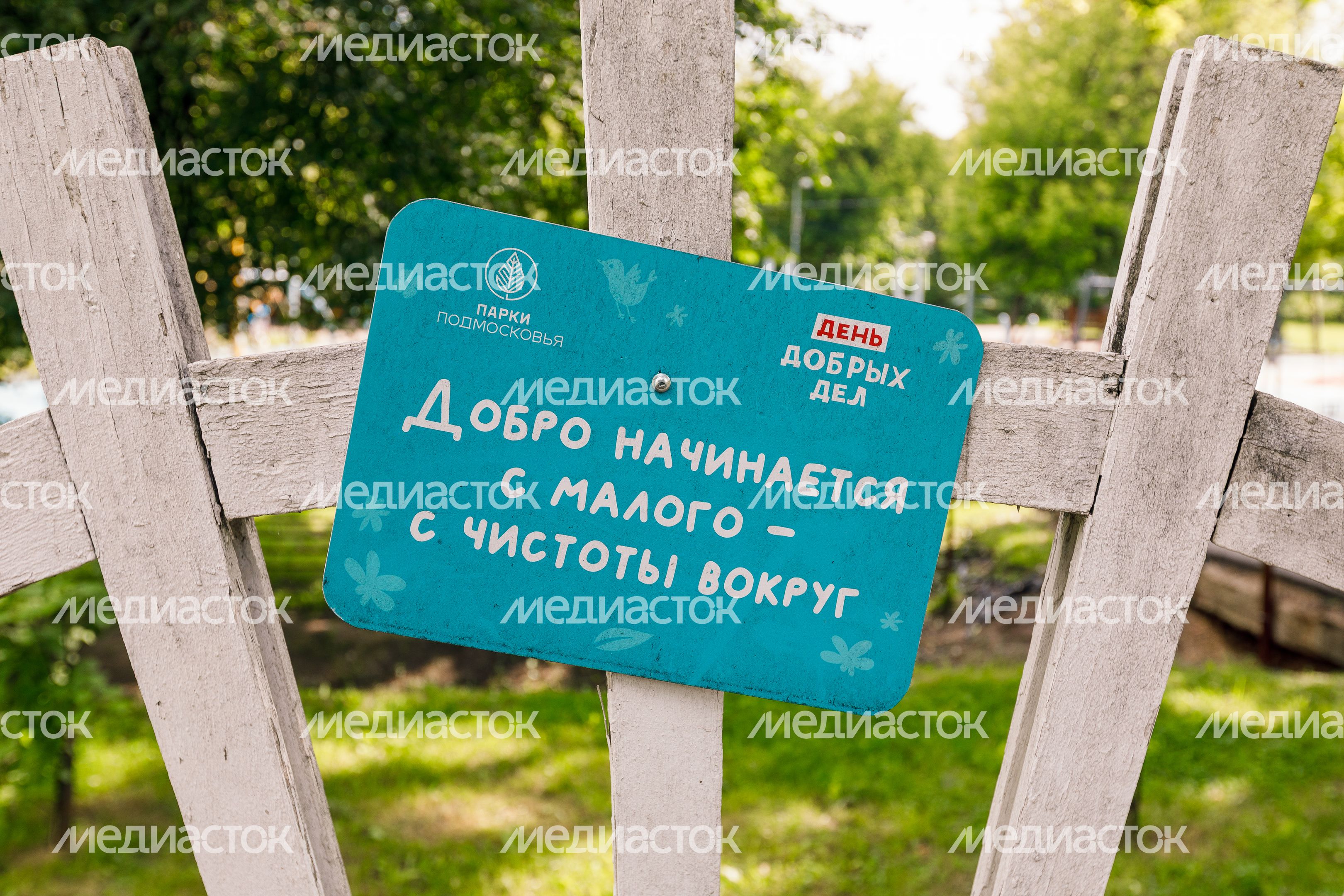 Летний парк «Костино» в Королеве