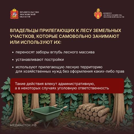Самовольный захват и использование лесных участков квадрат 03