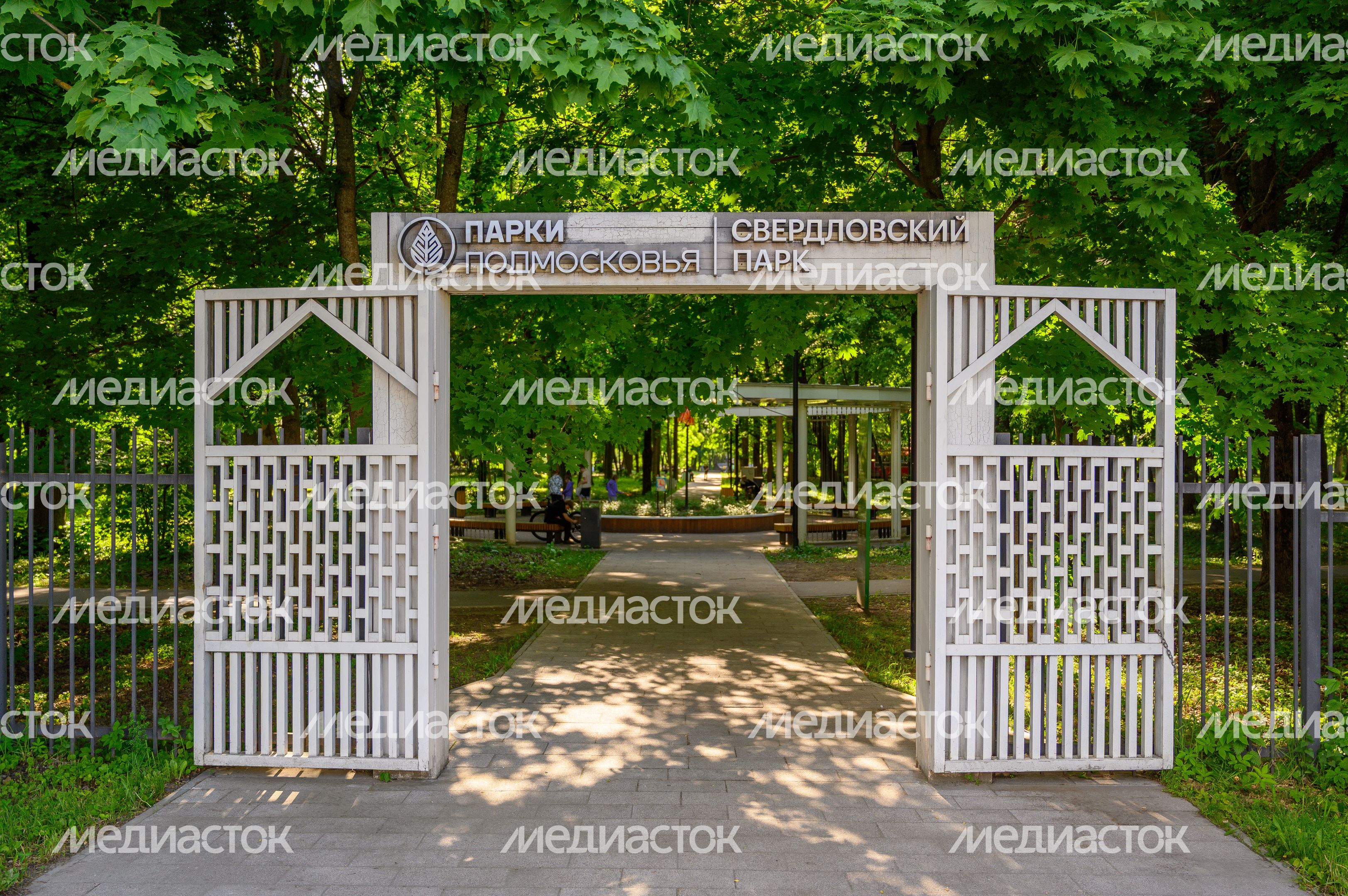 Лето в парке культуры и отдыха «Свердловский» в поселке Свердловский округа Лосино-Петровский Лето в парке культуры и отдыха «Свердловский» в поселке Свердловский округа Лосино-Петровский